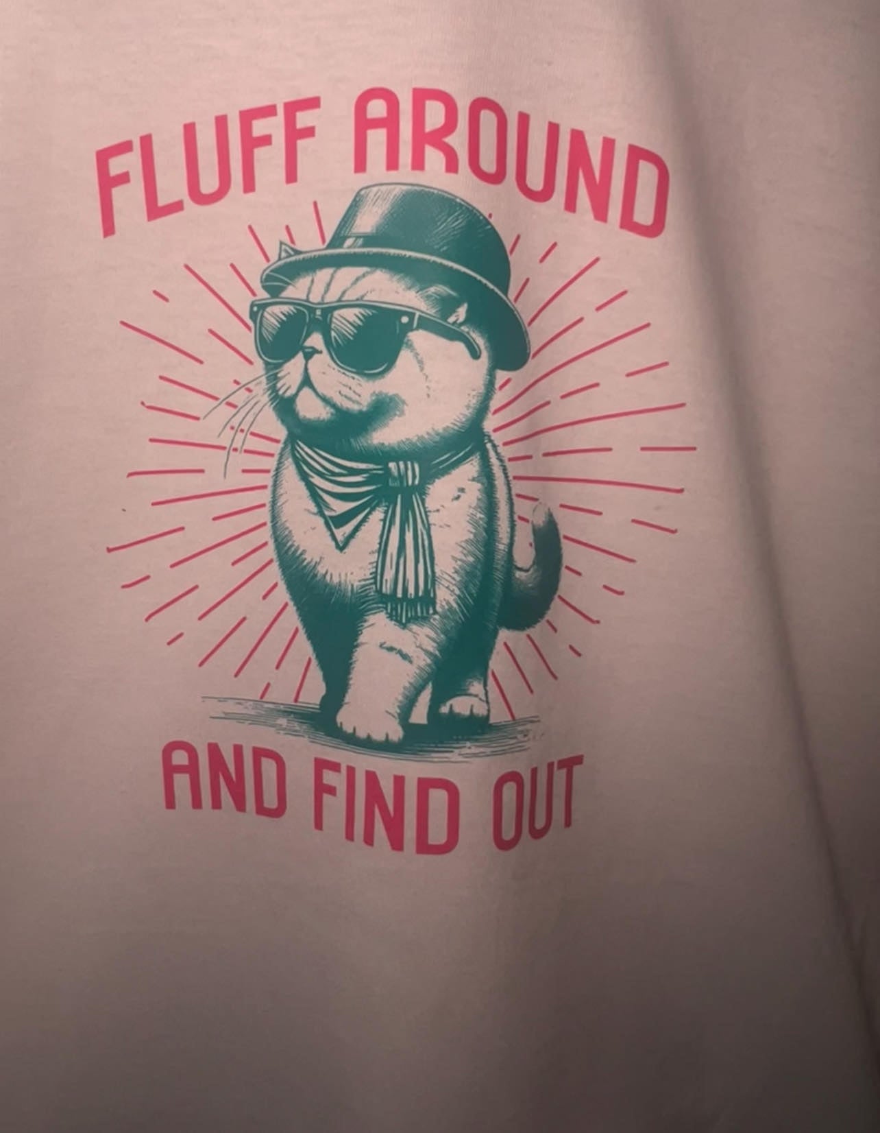 Funny Graphic T-Shirt - "Fluff Around and Find Out"